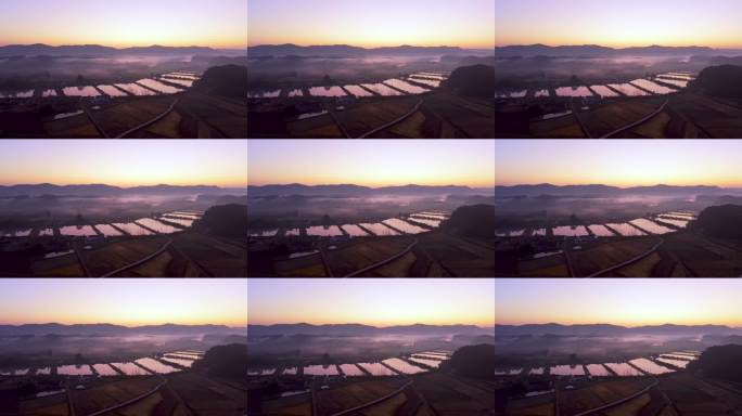 晨雾中的田园风光