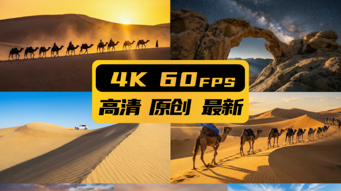 沙漠戈壁骆驼丝绸之路沙丘荒漠沙漠星空越野