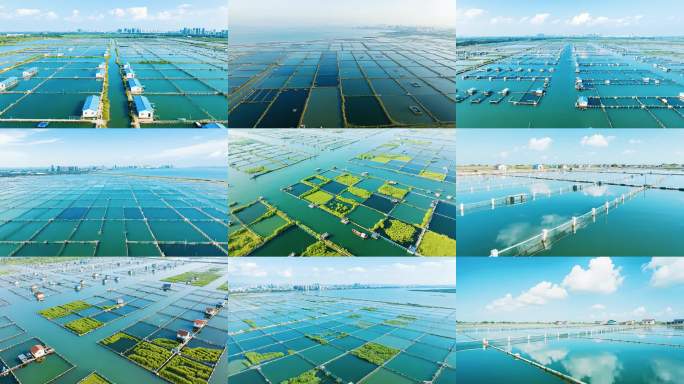 大型现代化水产养殖设施