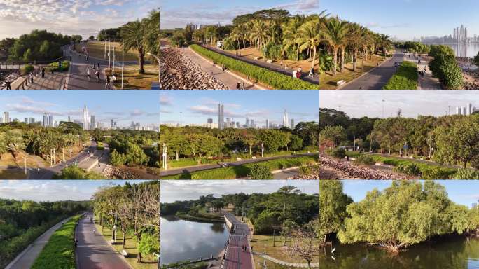 6K 深圳湾公园骑行跑步