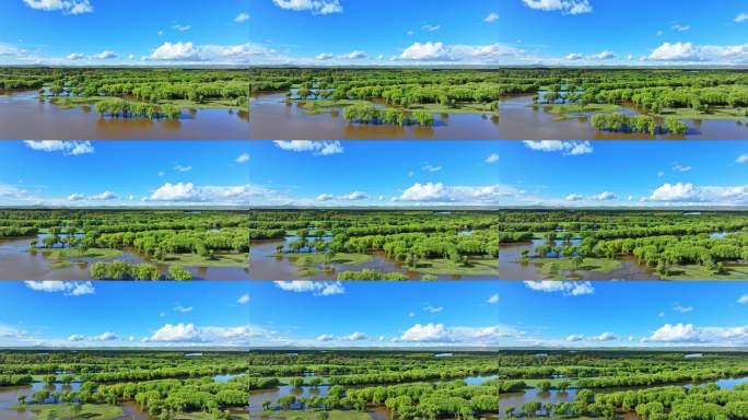 蓝天白云下的湿地（额尔古纳湿地）