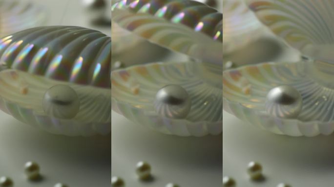 珍珠贝壳 炫彩光泽