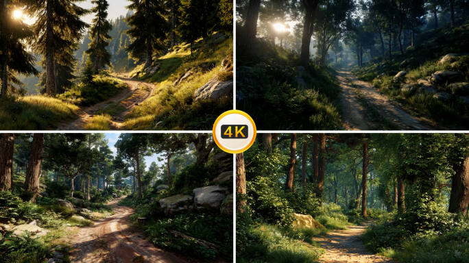 森林 阳光 小路 石子路 晨光林间 自然