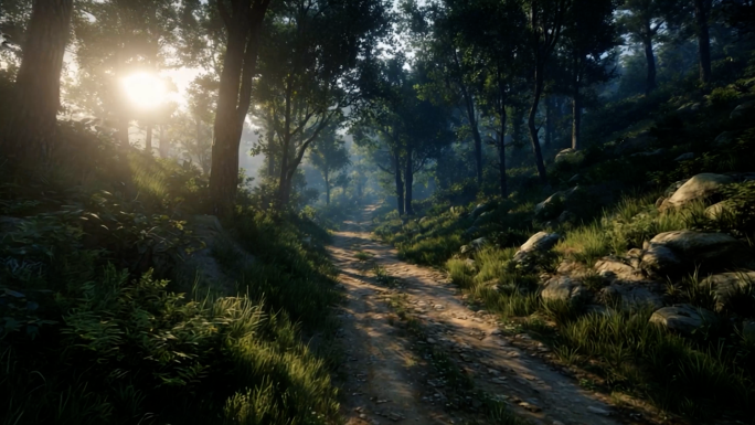 森林 阳光 小路 石子路 晨光林间 自然