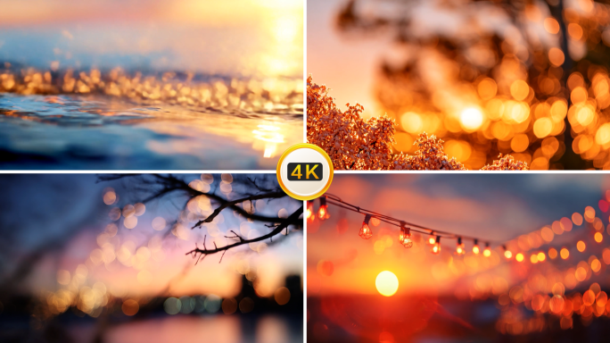 日落 海面 波光 黄昏 树枝 落日 余晖