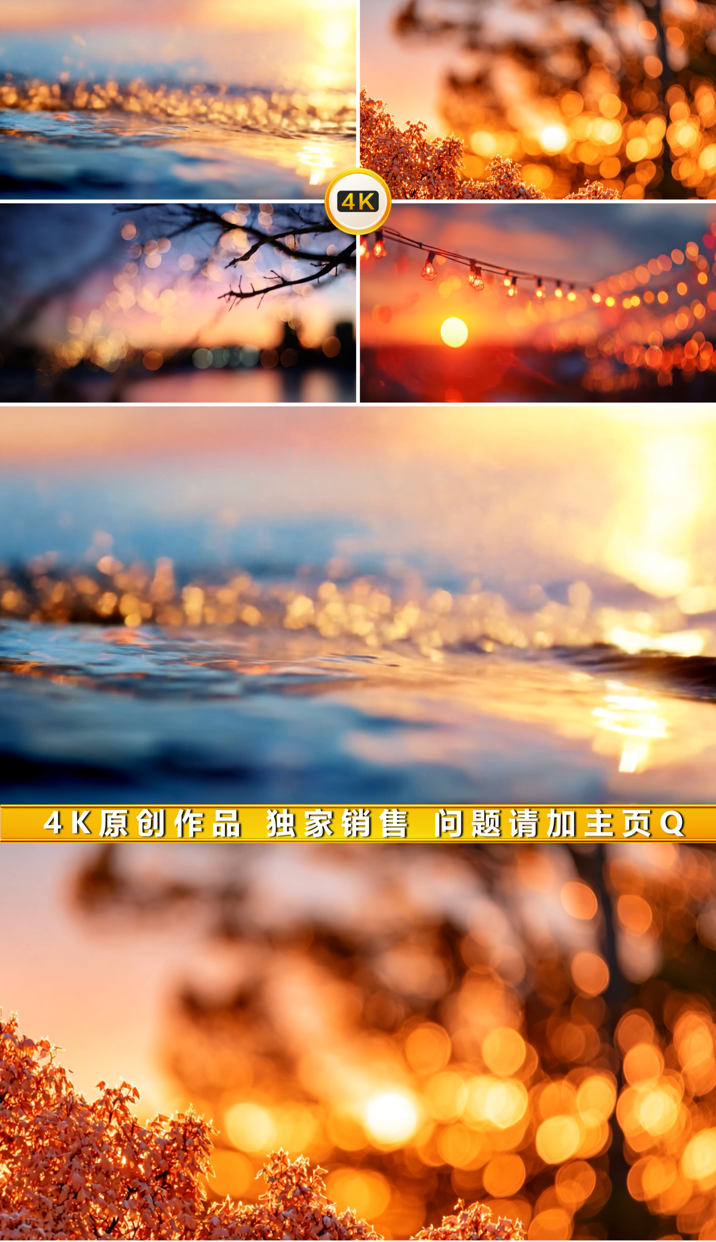 日落 海面 波光 黄昏 树枝 落日 余晖