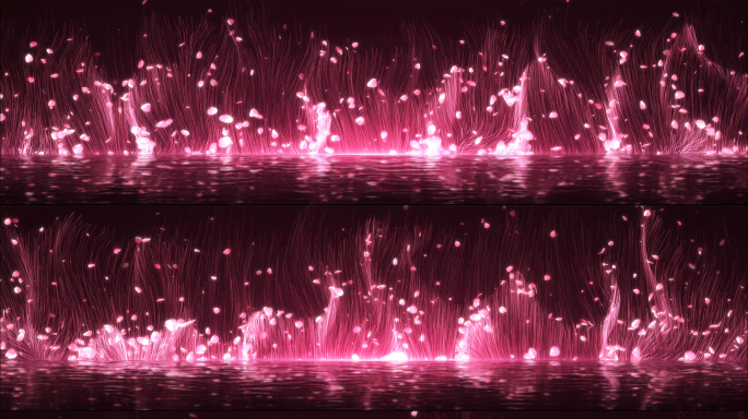 8k水面唯美花瓣粒子线条背景 视频加工程