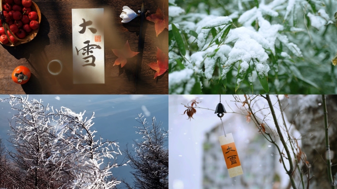 大雪 大雪节气 雪景 下雪 冬天