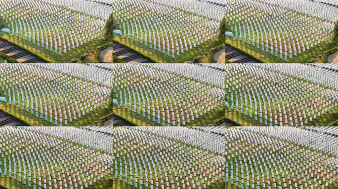 阳光下航拍最大红军烈士陵园墓碑缅怀先烈