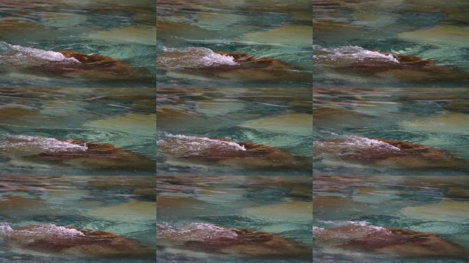 清澈见底的独龙江江水