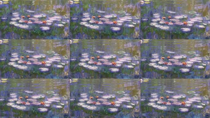 水面睡莲艺术画面