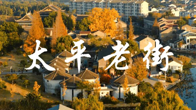 苏州太平禅寺唯美秋日 银杏 日落 柿子树