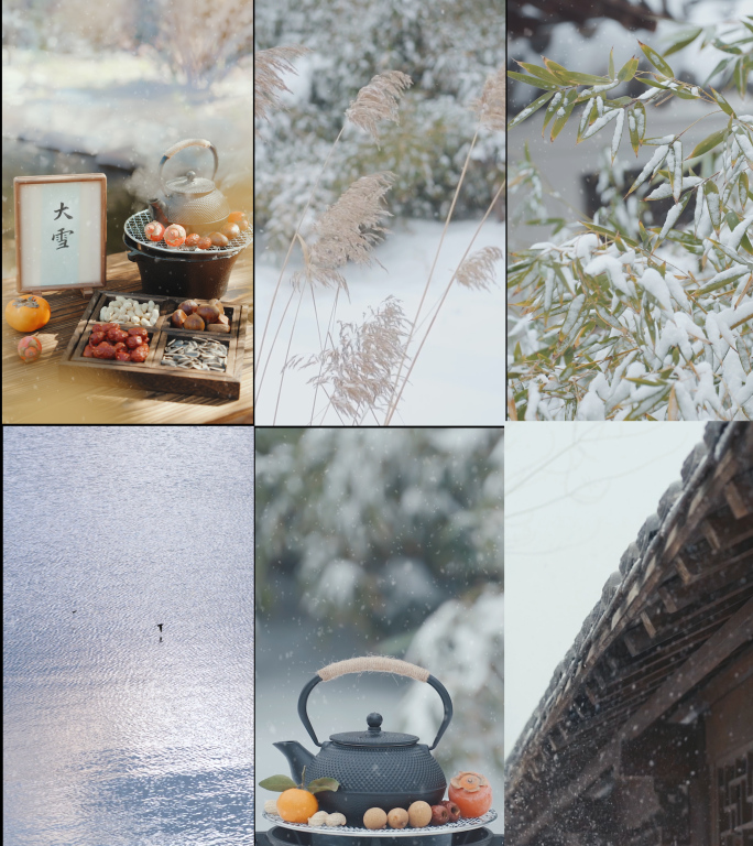 大雪 大雪节气 大雪竖版 冬天下雪风景