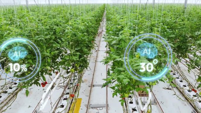 人工智能（AI）展示温室的状态 - 4K库存视频