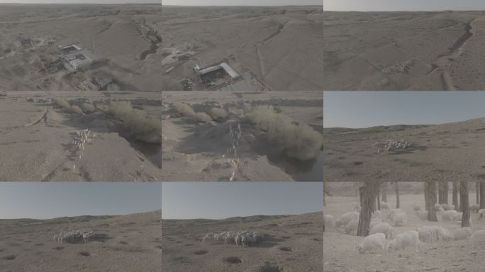 鄂尔多斯航拍草原牧场风光