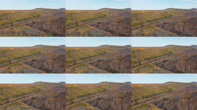 航拍大兴安岭秋日森林铁路