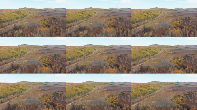 航拍大兴安岭秋日森林铁路