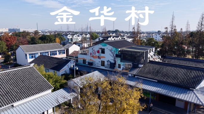 美丽乡村新农村乡村振兴建设实景