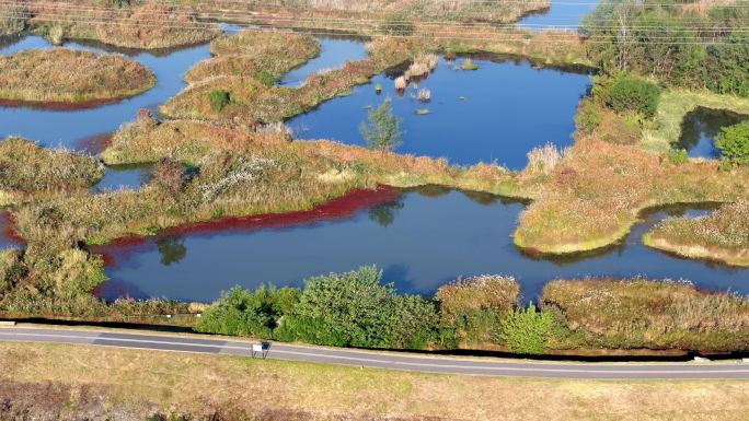 航拍湿地自然景观北湖公园