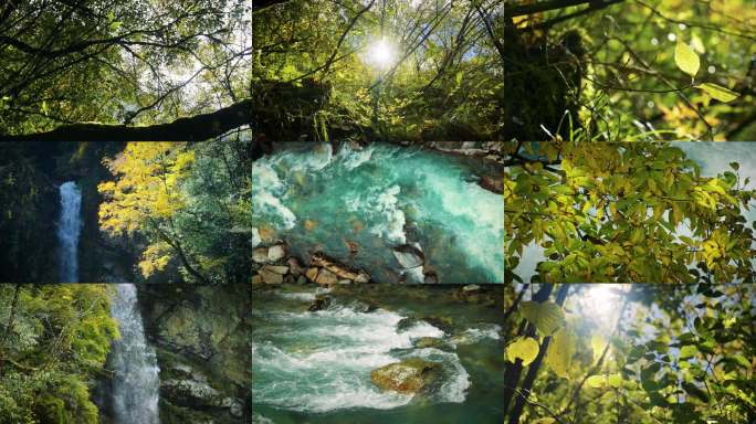 秋天山林溪流自然景观