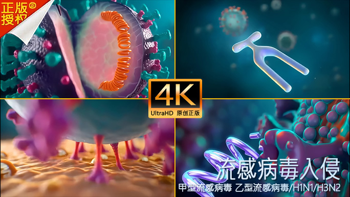 流感病毒入侵人体组织 感冒病毒流感季节