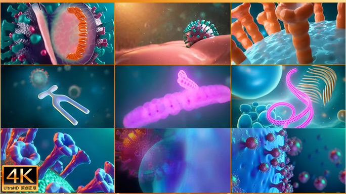 流感病毒入侵人体组织 感冒病毒流感季节