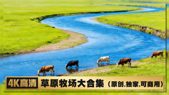 4K草原风光牧场牧民生活