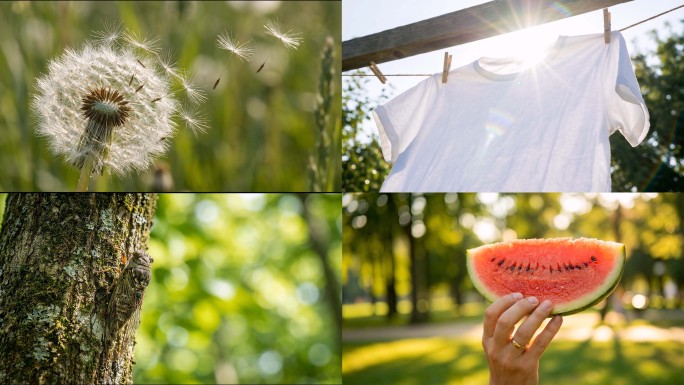 立夏夏日自然夏天夏季夏至小暑大暑处暑空镜