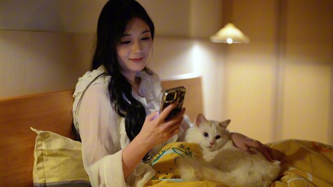 宠物可爱猫咪陪伴