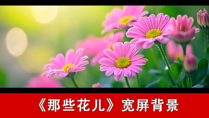 那些花儿-配乐背景