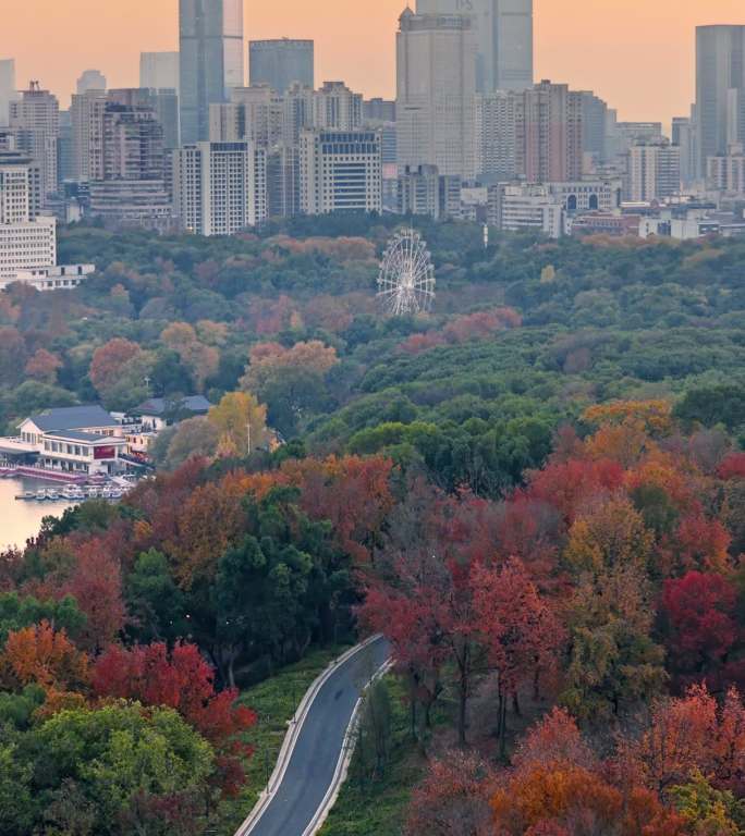 长沙城市秋景-烈士公园进城之路