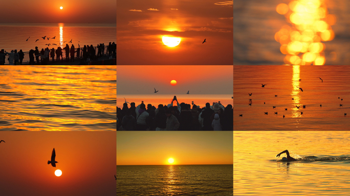 海上日出延时海鸟海鸥金色海面波光粼粼