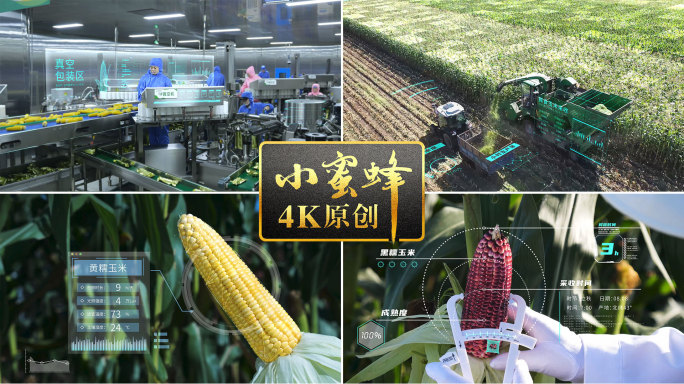智慧农业鲜食玉米生产线全产业链hud