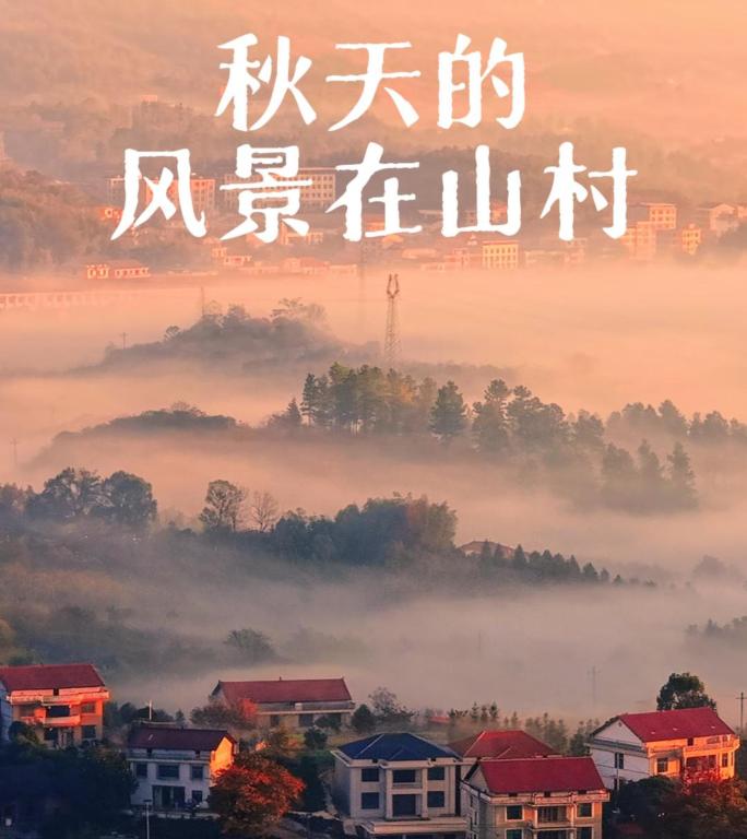 山间晨雾缭绕村庄 秋季乡村云海