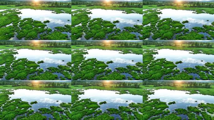 大兴安岭森林湿地沼泽阳光