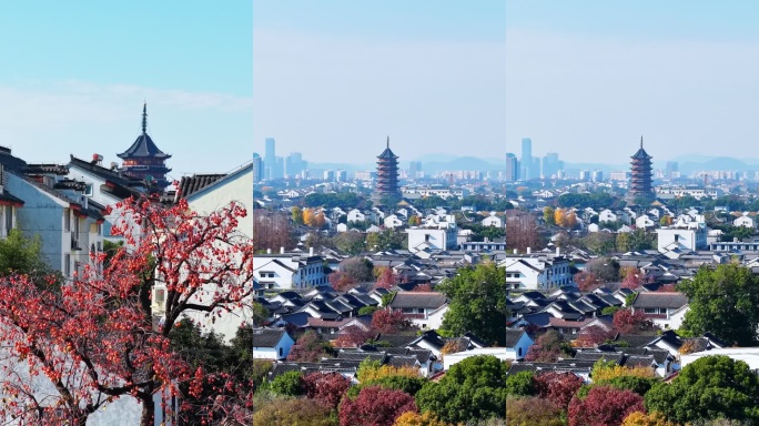 北寺塔与鸽子柿子同框