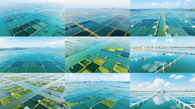 阳澄湖大闸蟹水产养殖业渔场