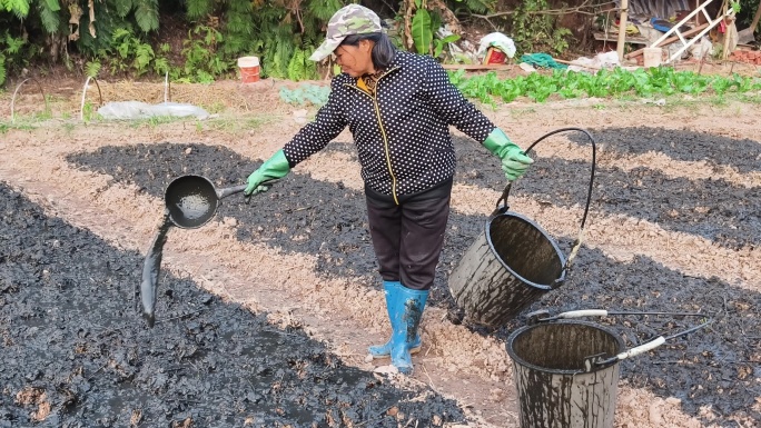 农民农田施农家肥劳作场景传统农耕施肥作业