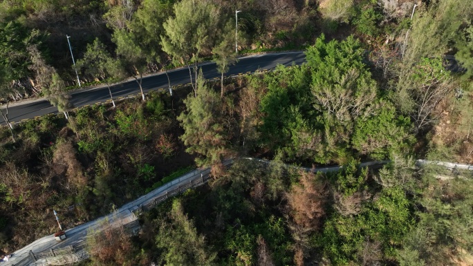 航拍汕头南澳山林蜿蜒公路