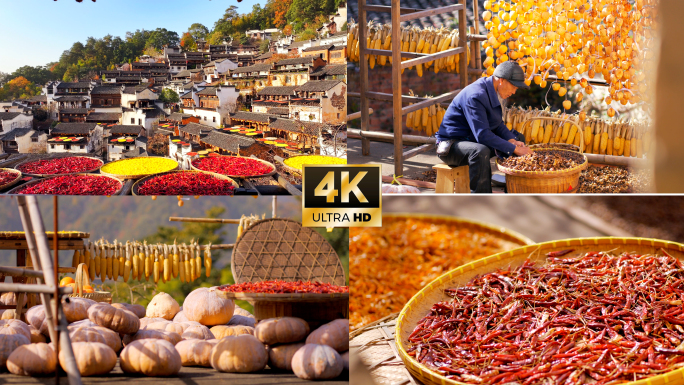 婺源篁岭晒秋丰收大美中国美丽乡村