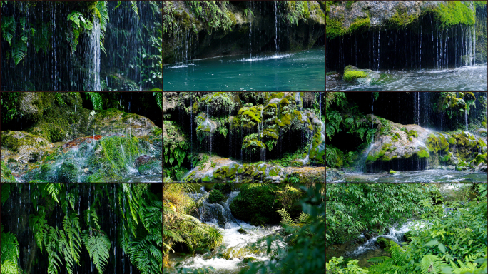 青苔植被瀑布滴水小河溪流特写