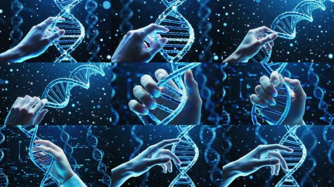 科研人员操控DNA双螺旋基因研究DNA