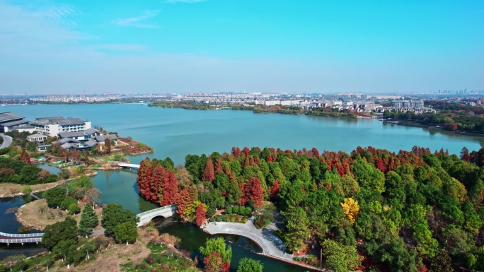 湘家荡湿地公园