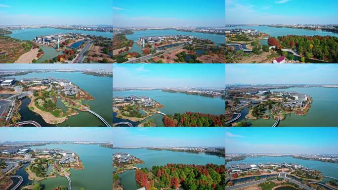 湘家荡湿地公园