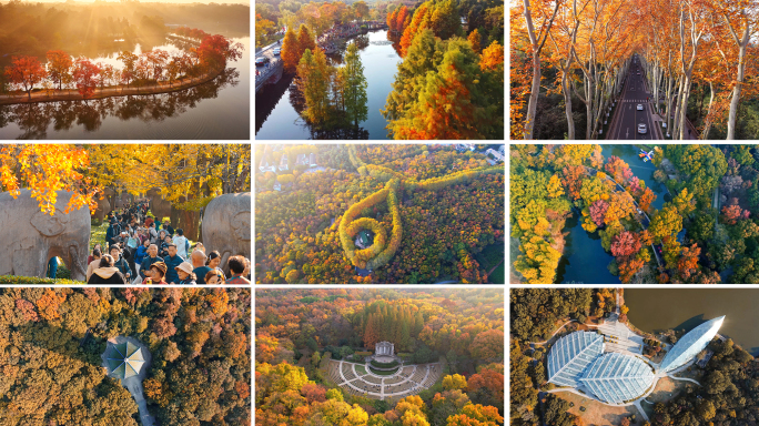 南京秋天紫金山