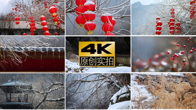 元旦小雪冬至立春春节大寒小寒飘雪雪景