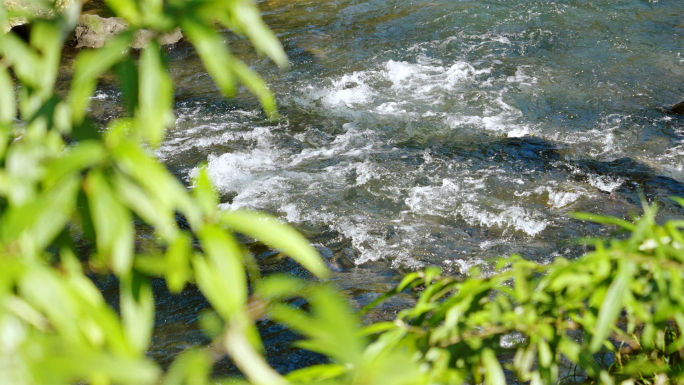 山间溪流清澈水流