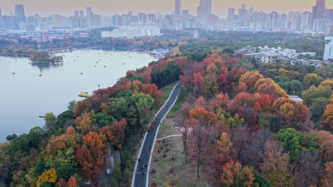 长沙天际线进城之路秋日秋季彩林航拍