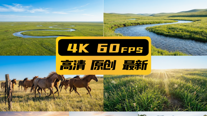 草原风光大草原河流风景航拍骏马