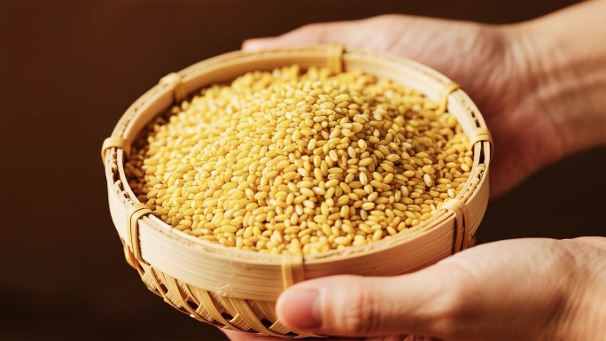 天然谷物特写展示视频